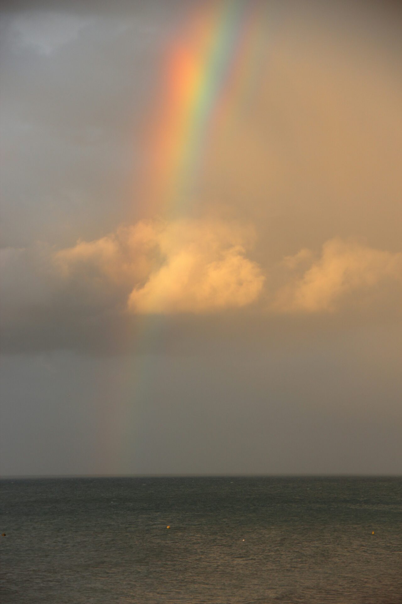 blog Eet eens een regenboog: 6 tips om meer fytonutriënten  binnen te krijgen
